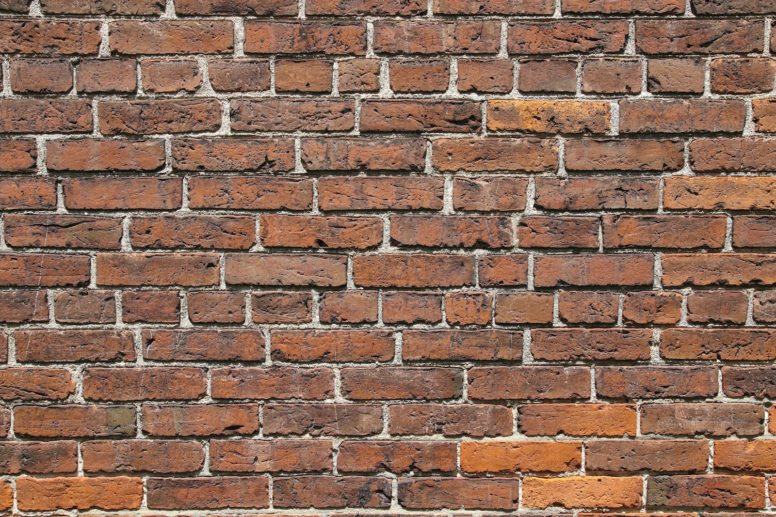 Stone veneer β Hestor Masonry & Paving